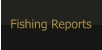 Fishing Reports